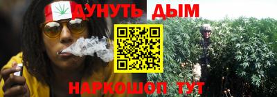 apvp Нальчик