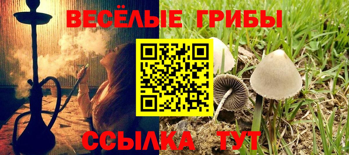 Сызрань  закладка  Вход с VPN  Псилоцибиновые грибы Magic Shrooms 